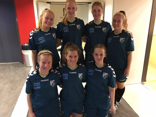 Jelling Cup 2015